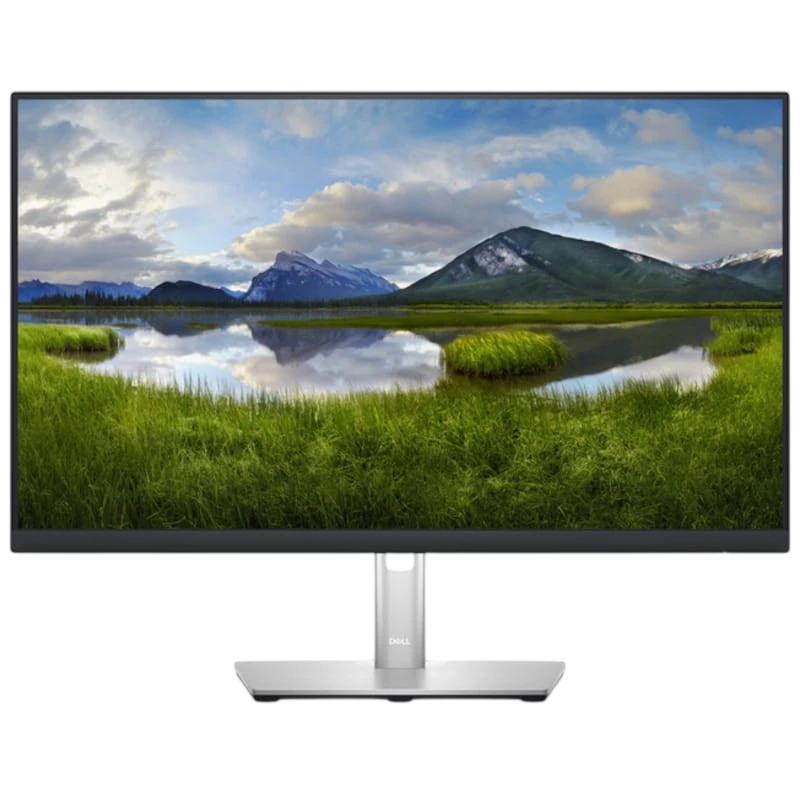 Dell P Series P2423DE 23.8 2K QHD IPS Negro