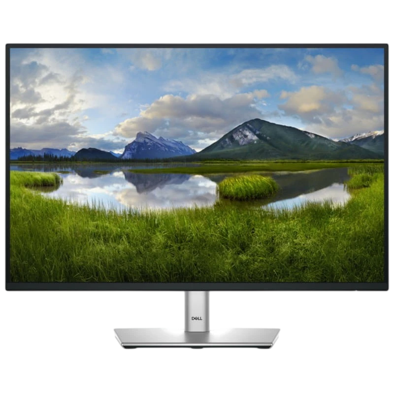 DELL P Series P2425 24.1 WUXGA IPS 100 Hz Negro