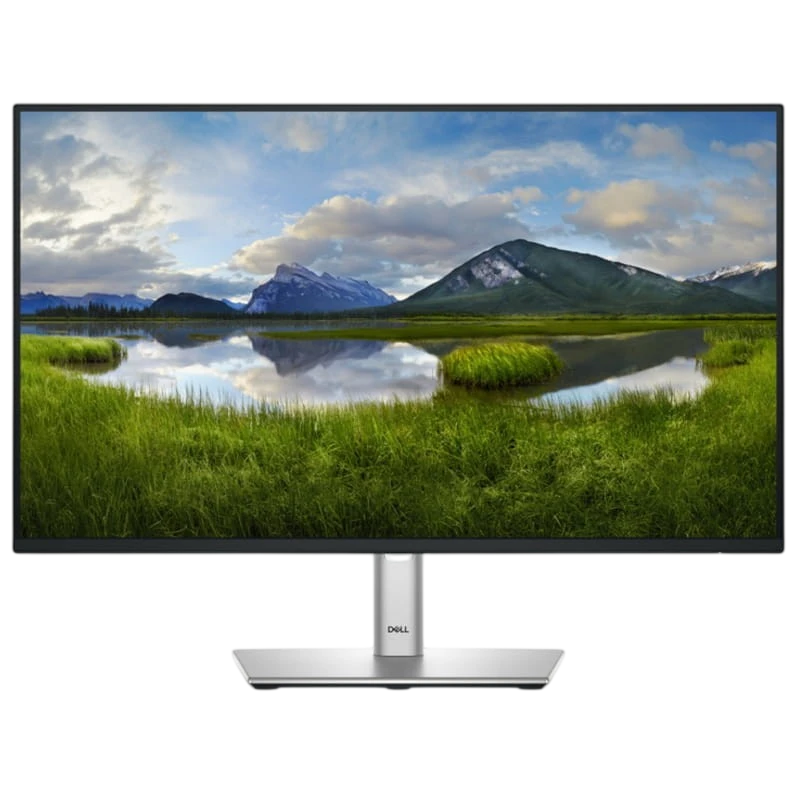 Dell P Series P2425HE 24' FullHD IPS 100Hz Negro