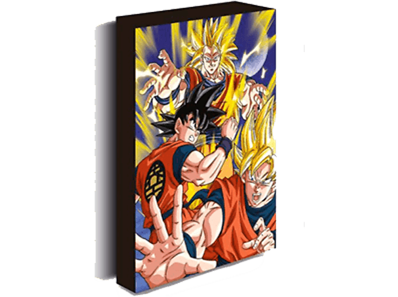 Pyramid Dragon Ball Z: Goku Con luz LED 30x40 cm 3 pilas AA (no incluidas)