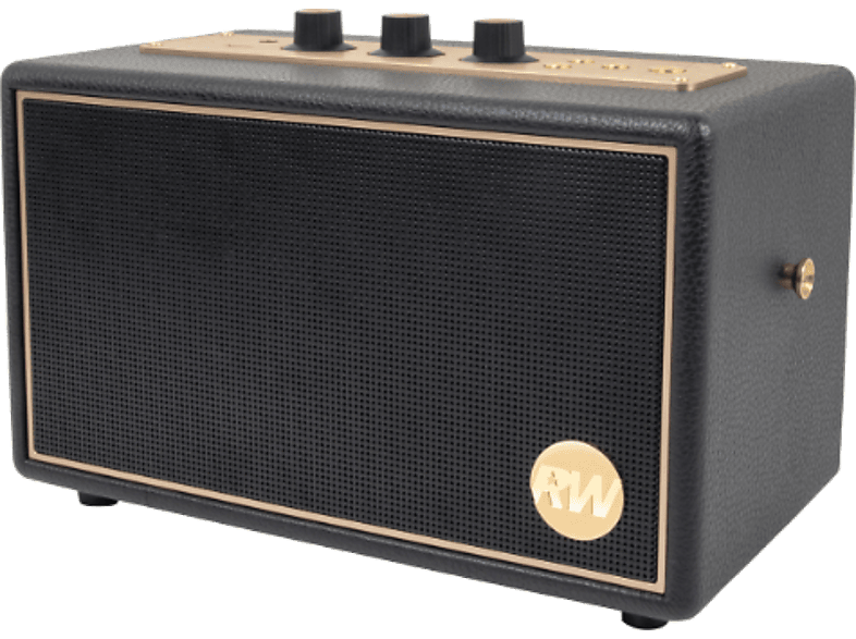 PEAQ PPA 550-RW Retro 60W Bluetooth 8h Autonomía Edición Robbie Williams True Wireless Negro