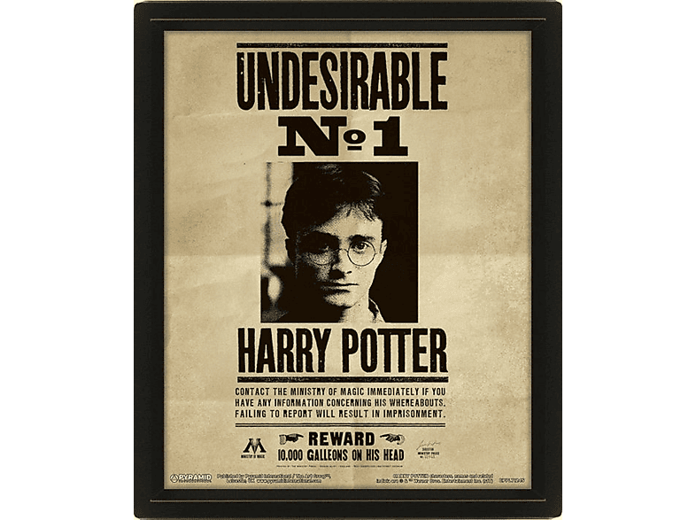 Sherwood Harry Potter/Sirius Black