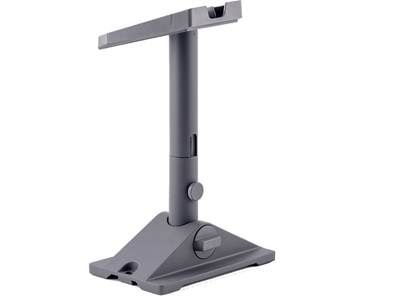 Starlink Standard Pivot Mount Gris