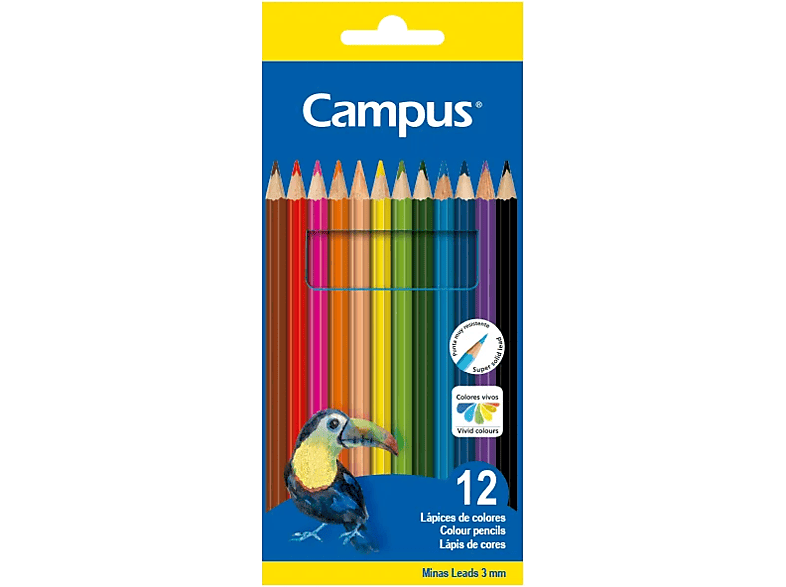 Campus 080564 12 Colores Minas Gruesas y Duraderas Multicolor