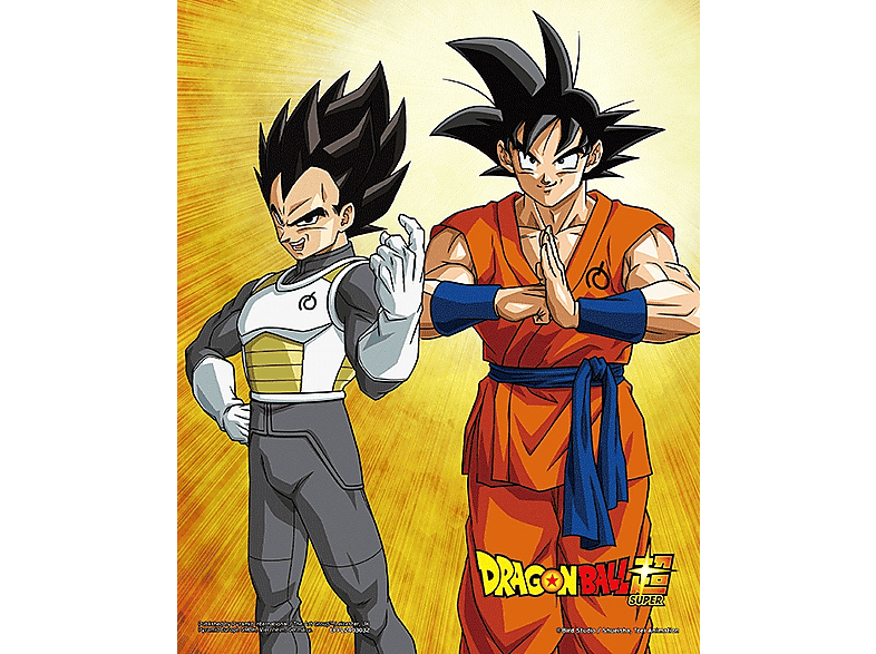 Sherwood Dragon Ball - Goku & Vegeta Enmarcado Licencia oficial Dragon Ball