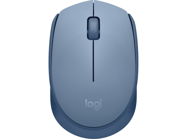 Logitech M171 1000 ppp Ambidiestro USB Azul