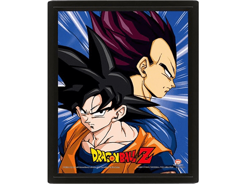 Sherwood Dragon Ball: Protectores y destructores