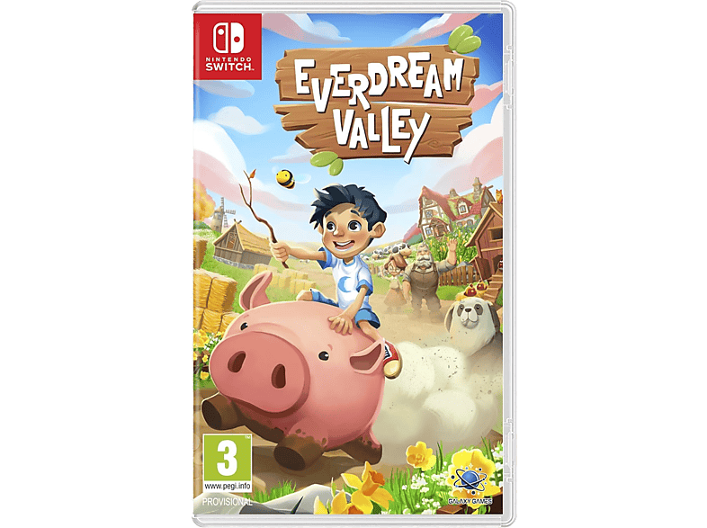 Nintendo Switch Everdream Valley
