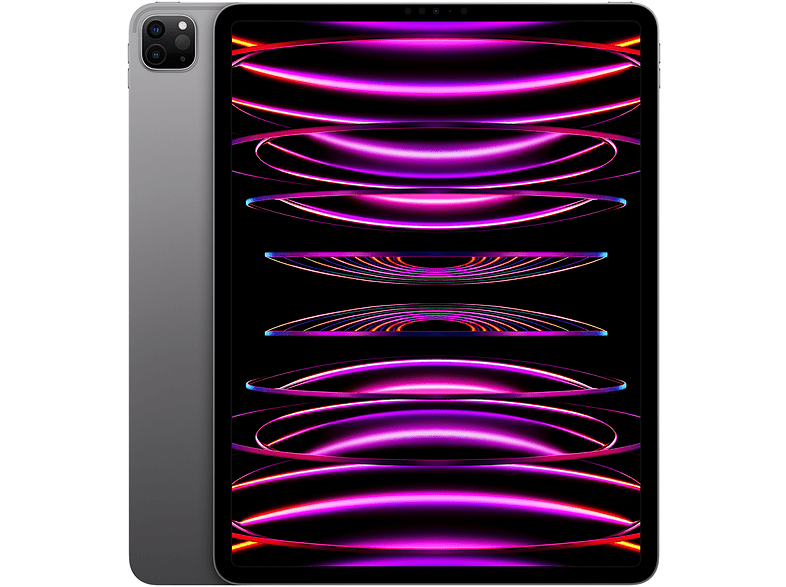 Apple iPad Pro (2022 6ª gen.) 2 TB Gris espacial 12.9 WiFi+CELL Liquid Retina XDR 16 GB RAM Chip M2 iPadOS 16