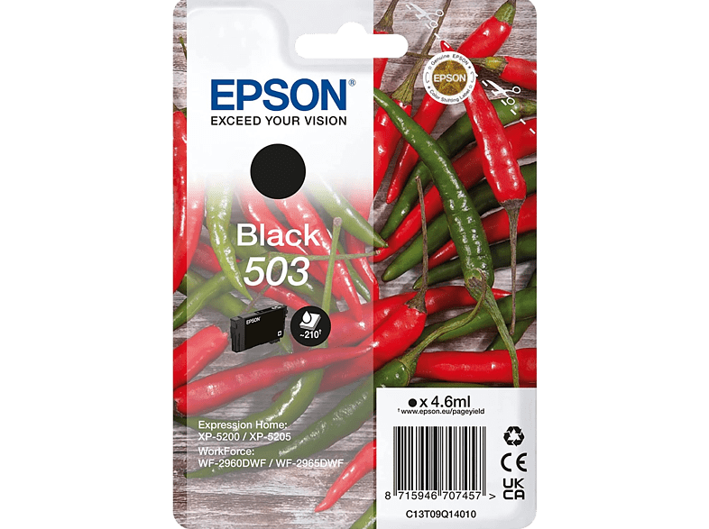 Epson 503 INK Black Tamaño estándar Hasta 210 páginas Negro