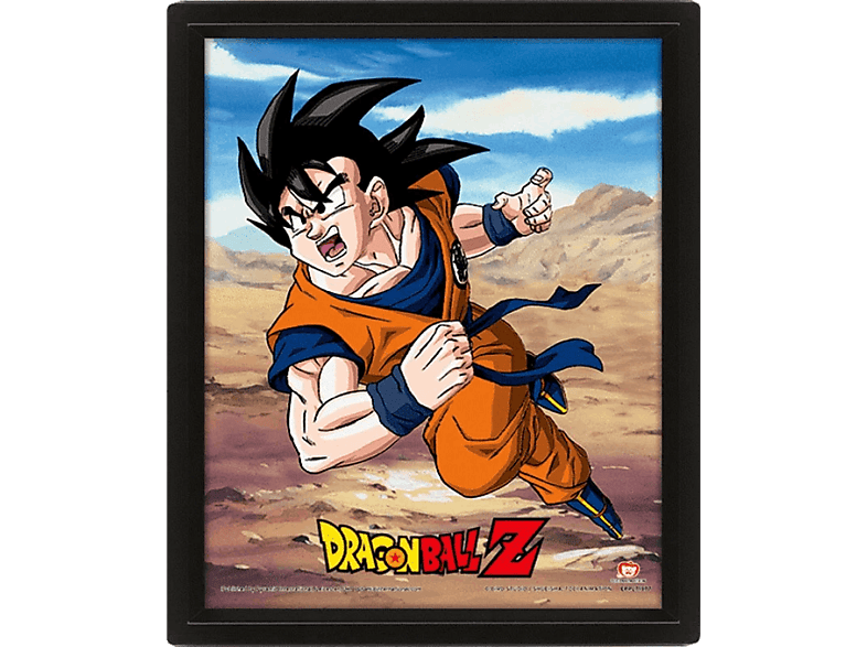 Sherwood Dragon Ball Rivalry Power 28.5 cm x 23.5 cm