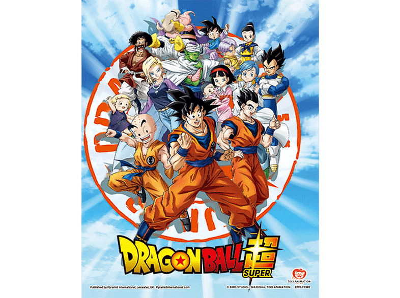 Sherwood Dragon Ball Super: Goku & Z Fighters 23.5 x 28.5 cm Efecto 3D