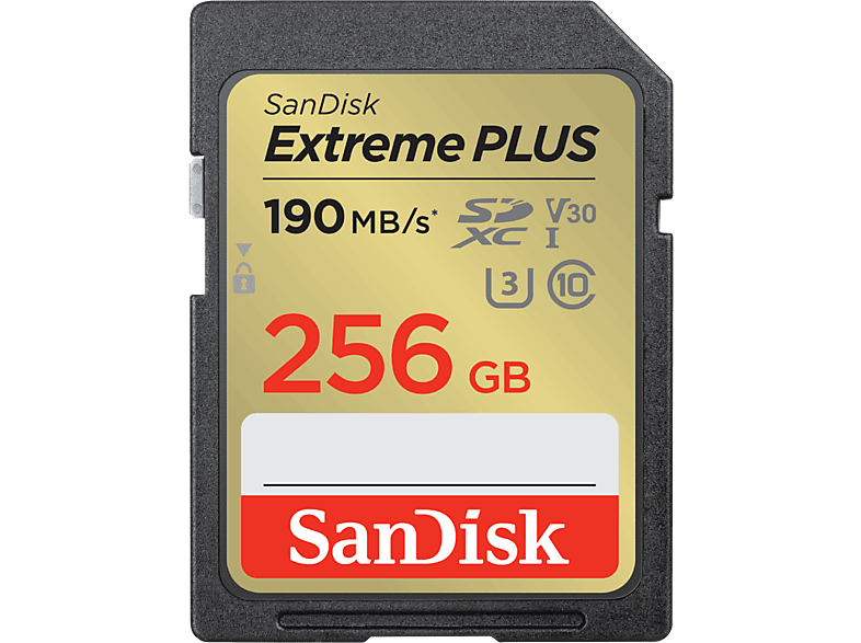SanDisk Extreme PLUS 256 GB Vídeo 4k UHD Hasta 190 MB/s lectura U3 V30 C10 Multicolor