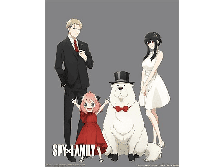 Sherwood Spy X Family Enmarcado Licencia oficial