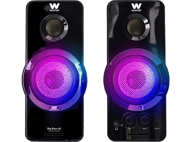 Woxter Big Bass 95 RGB Audio jack de 3.5mm USB Conector de audio adicional 20W Negro