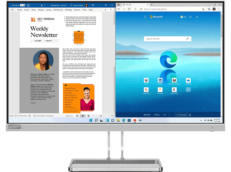Lenovo L27I-40 27 Full-HD 4 ms 50 Hz HDMI VGA Gris