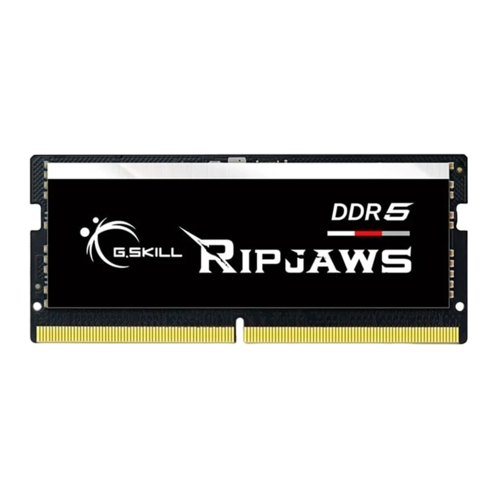 Módulo de memoria RAM G.Skill Ripjaws F5-5600S4040A16GX1-RS